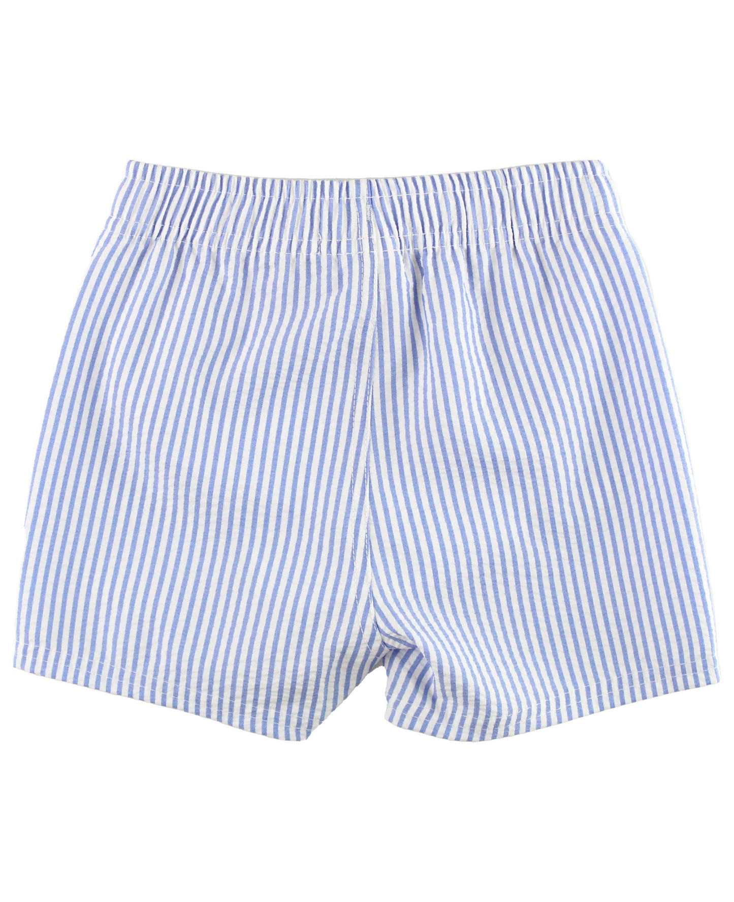 Blue Seersucker Swim Trunks