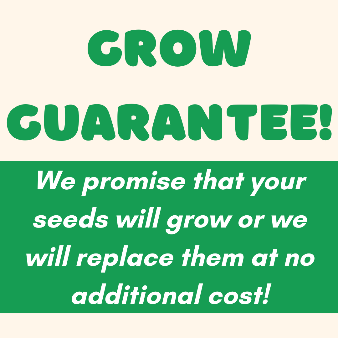 Windowsill Grow Kit | Sunflower | Kids Garden