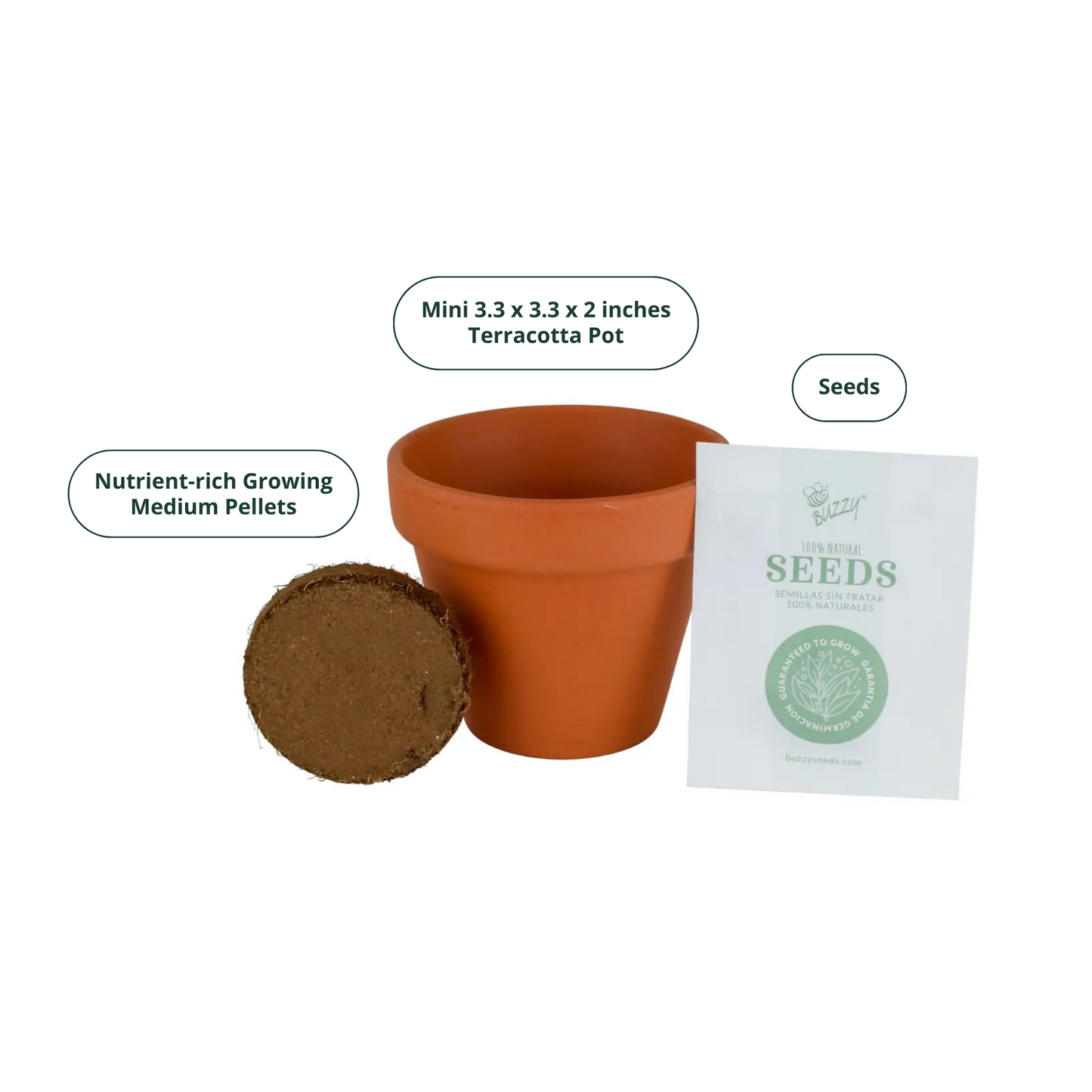 Classic 3.3 in Terracotta Lavender Grow Kit | Indoor |