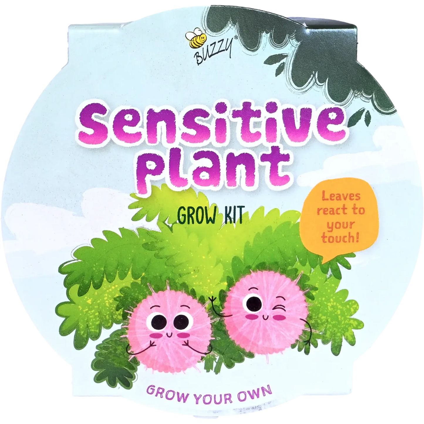 Kids Mini Basin Sensitive Plant Grow Kit | Indoor Kit |