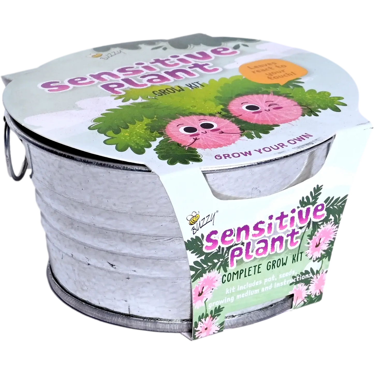 Kids Mini Basin Sensitive Plant Grow Kit | Indoor Kit |