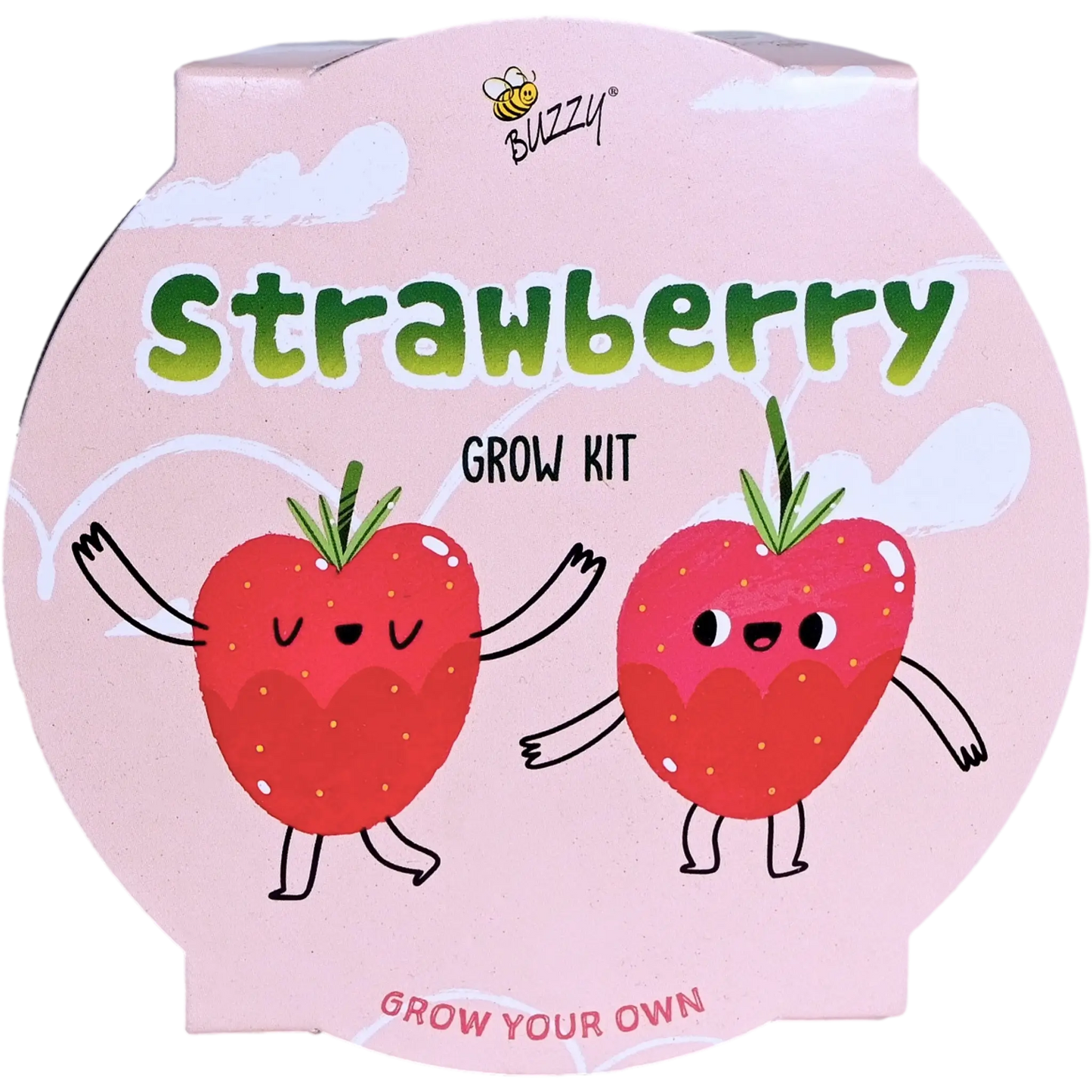 Kids Mini Basin Strawberry Grow Kit | Indoor Kit |