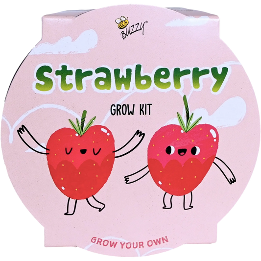 Kids Mini Basin Strawberry Grow Kit | Indoor Kit |