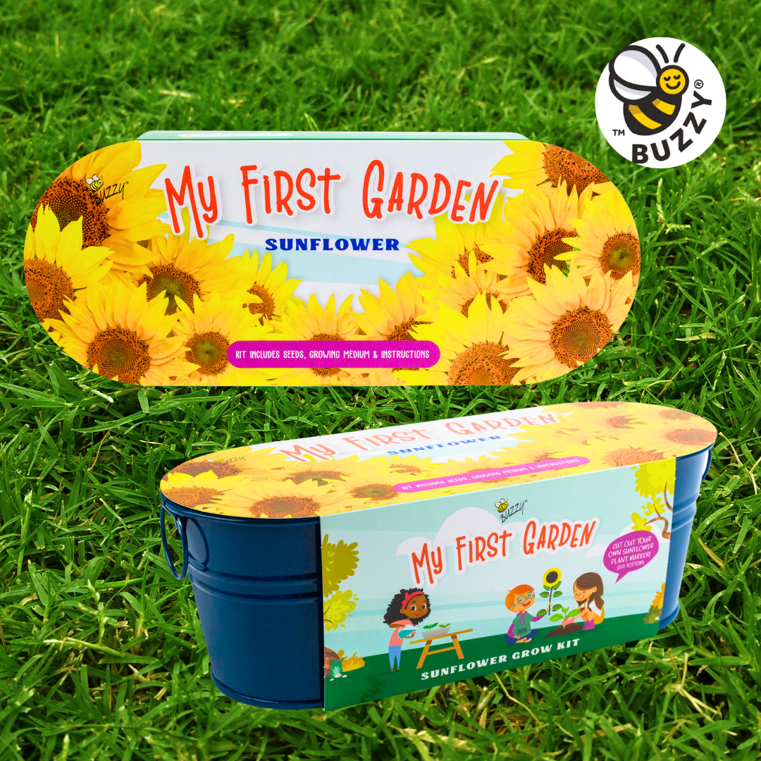 Windowsill Grow Kit | Sunflower | Kids Garden
