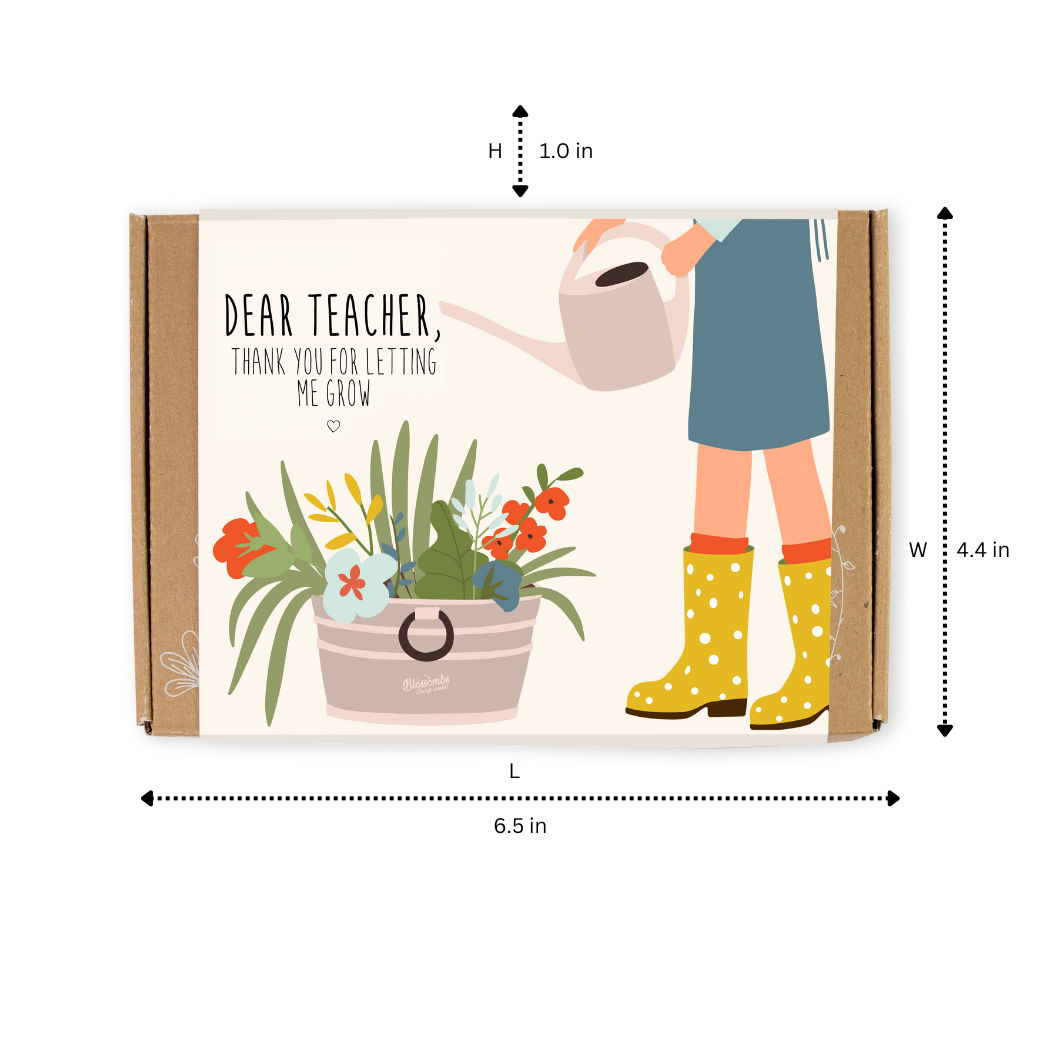 Dear Teacher Seed Bomb Box | Wildflower Balls |