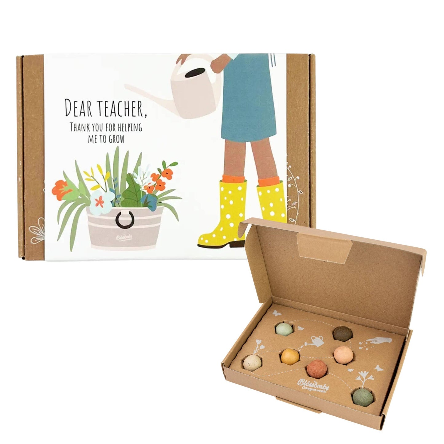 Dear Teacher Seed Bomb Box | Wildflower Balls |