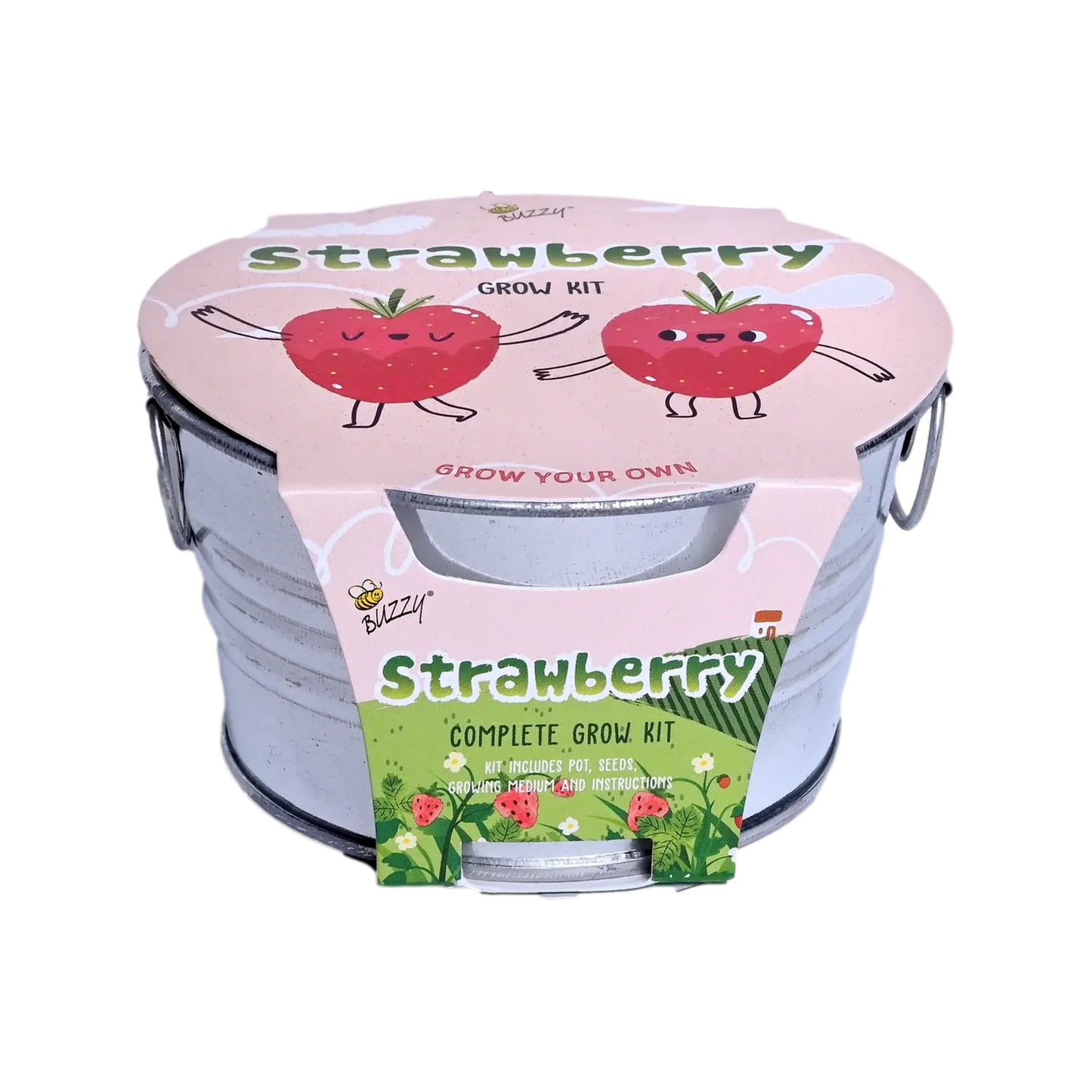 Kids Mini Basin Strawberry Grow Kit | Indoor Kit |