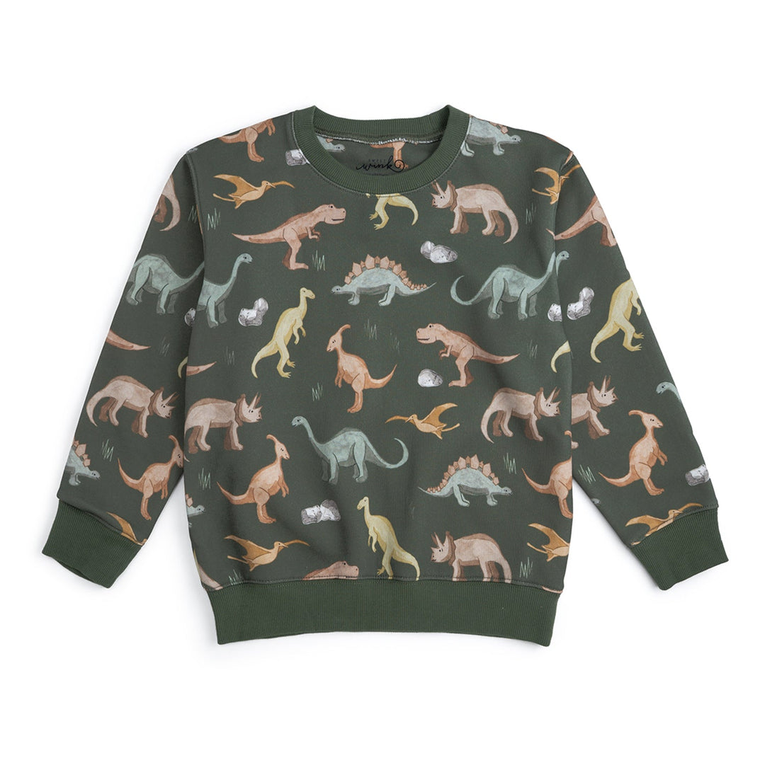 Dinosaurs Rock Sweatshirt