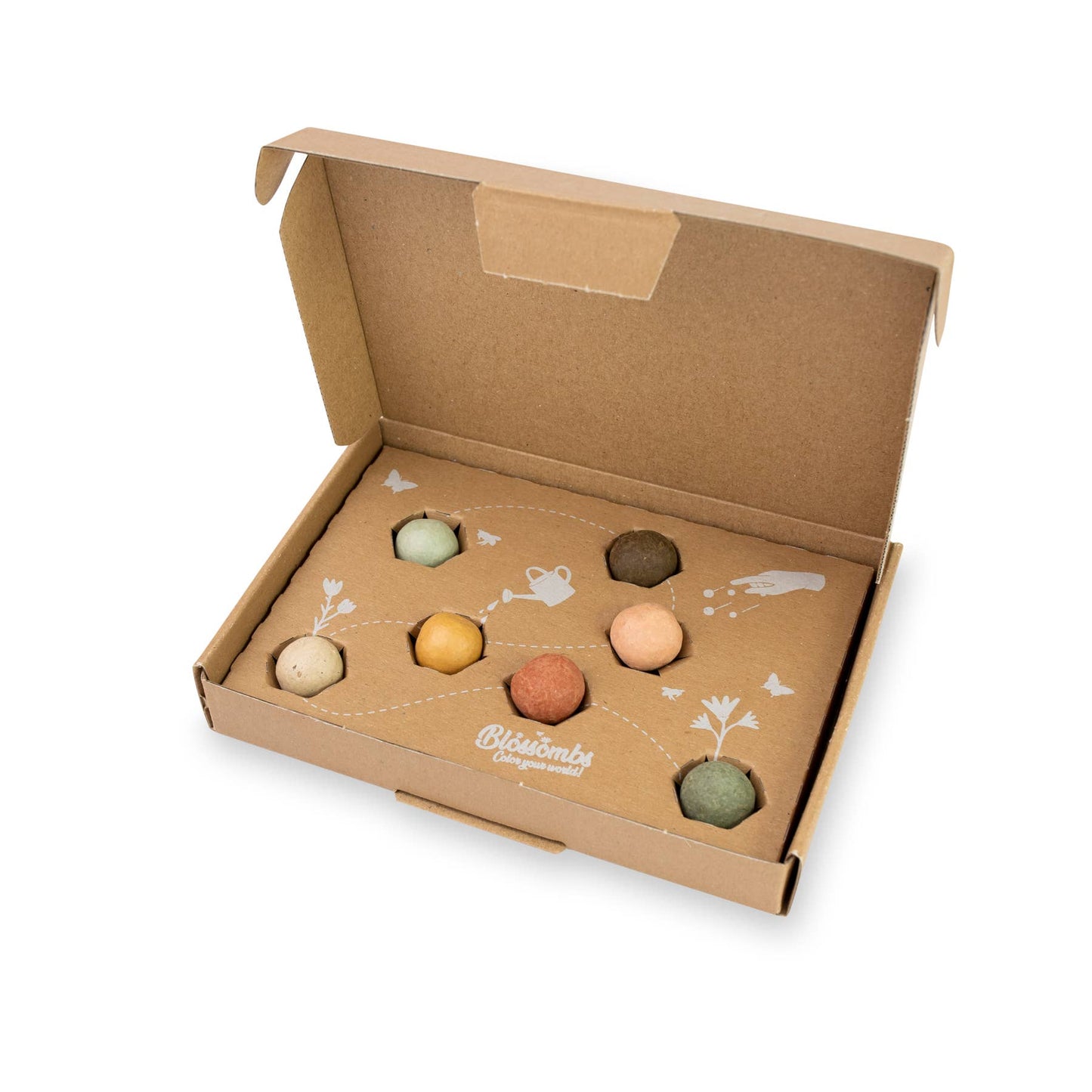 Dear Teacher Seed Bomb Box | Wildflower Balls |