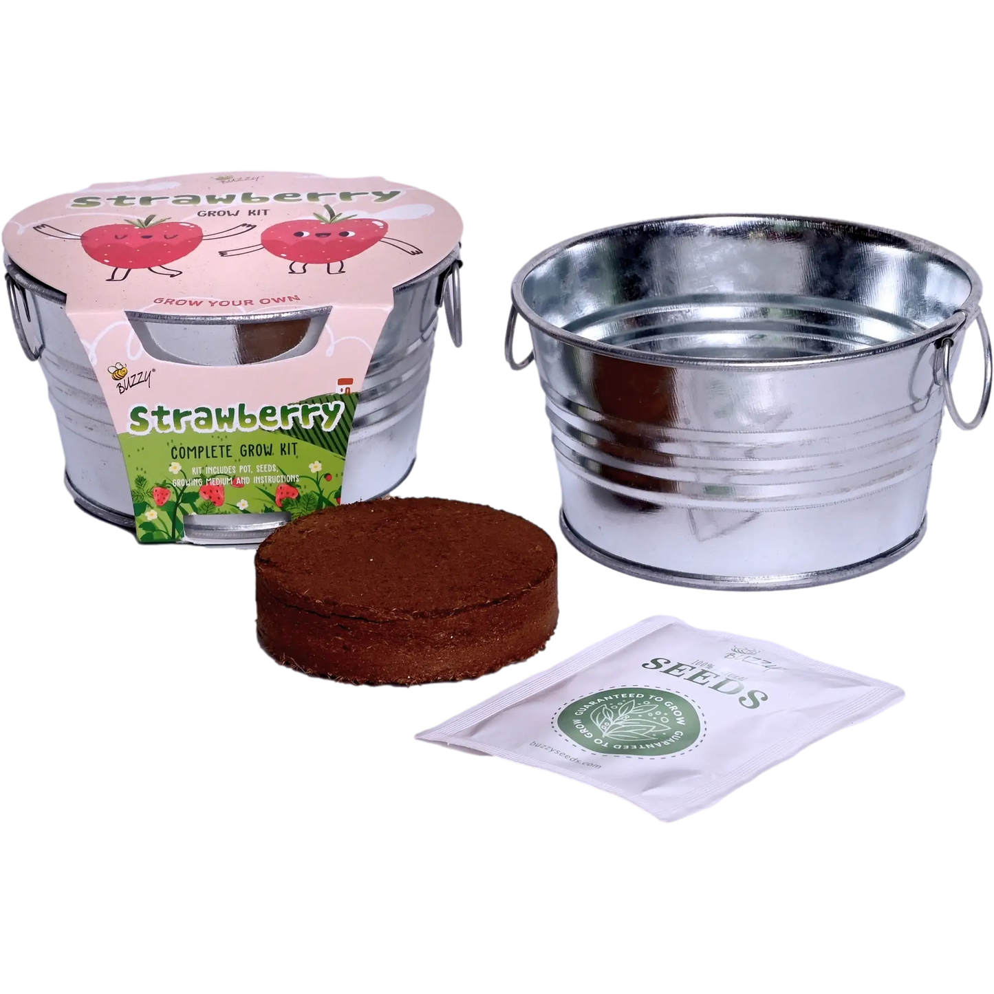 Kids Mini Basin Strawberry Grow Kit | Indoor Kit |