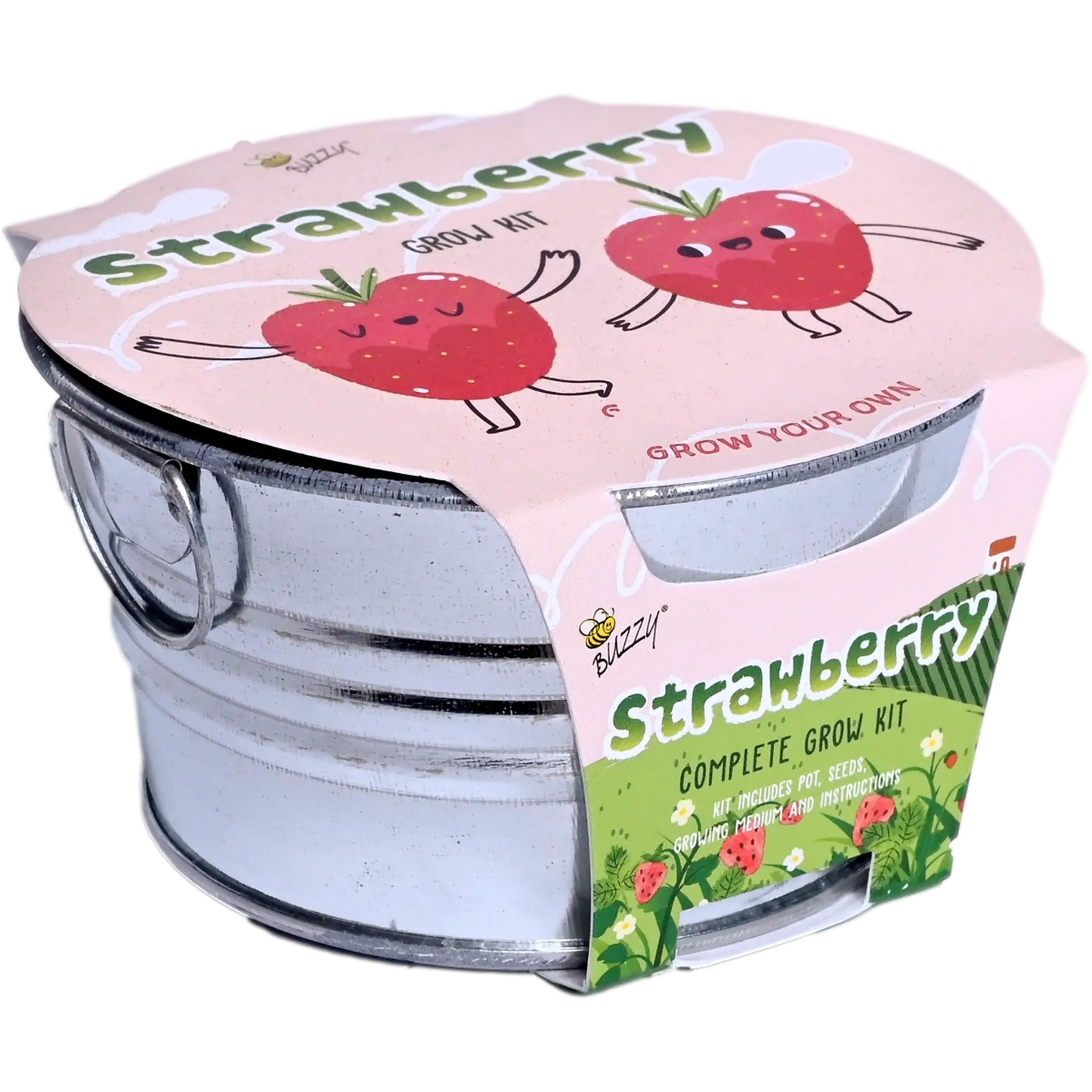Kids Mini Basin Strawberry Grow Kit | Indoor Kit |