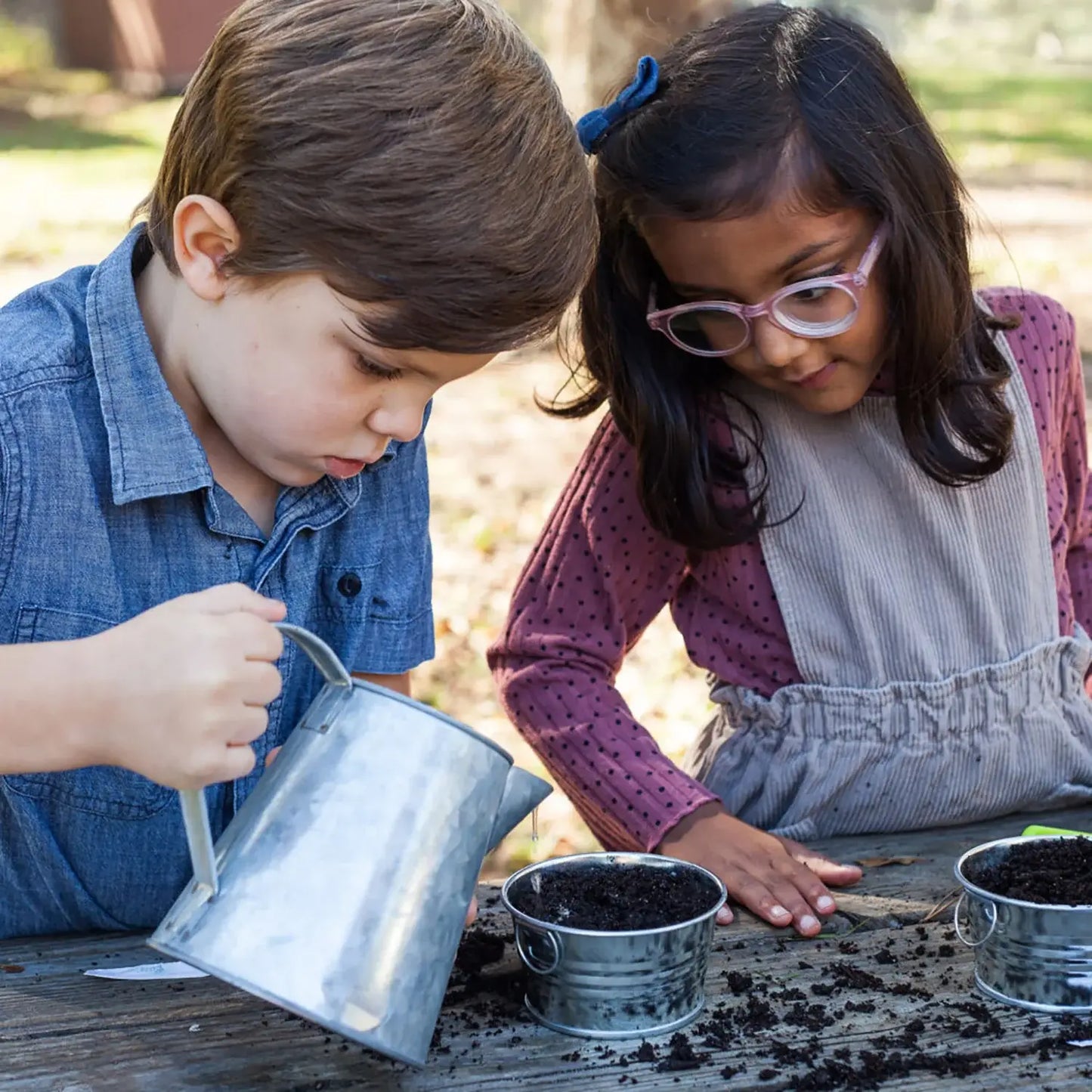 Kids Mini Basin Sensitive Plant Grow Kit | Indoor Kit |