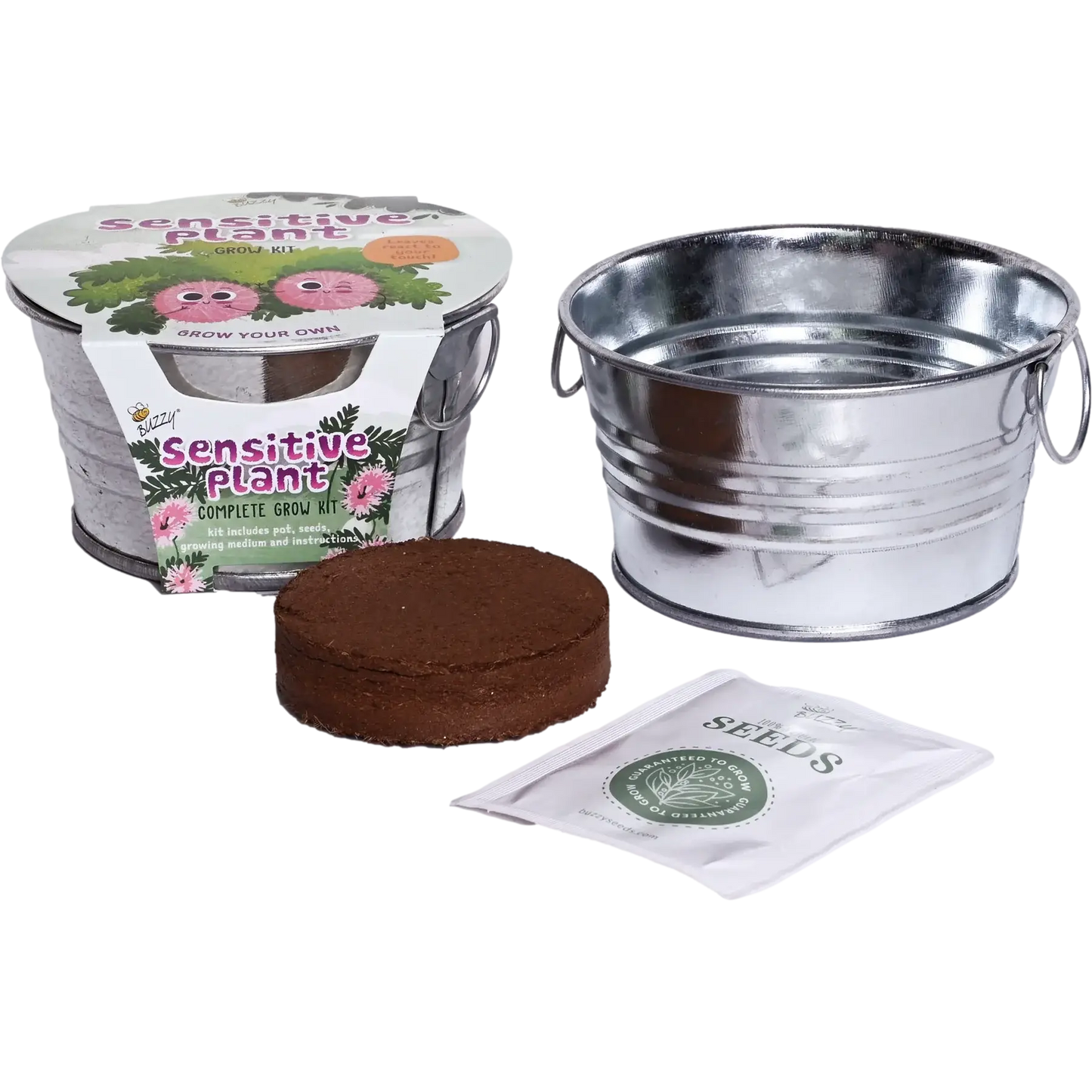Kids Mini Basin Sensitive Plant Grow Kit | Indoor Kit |