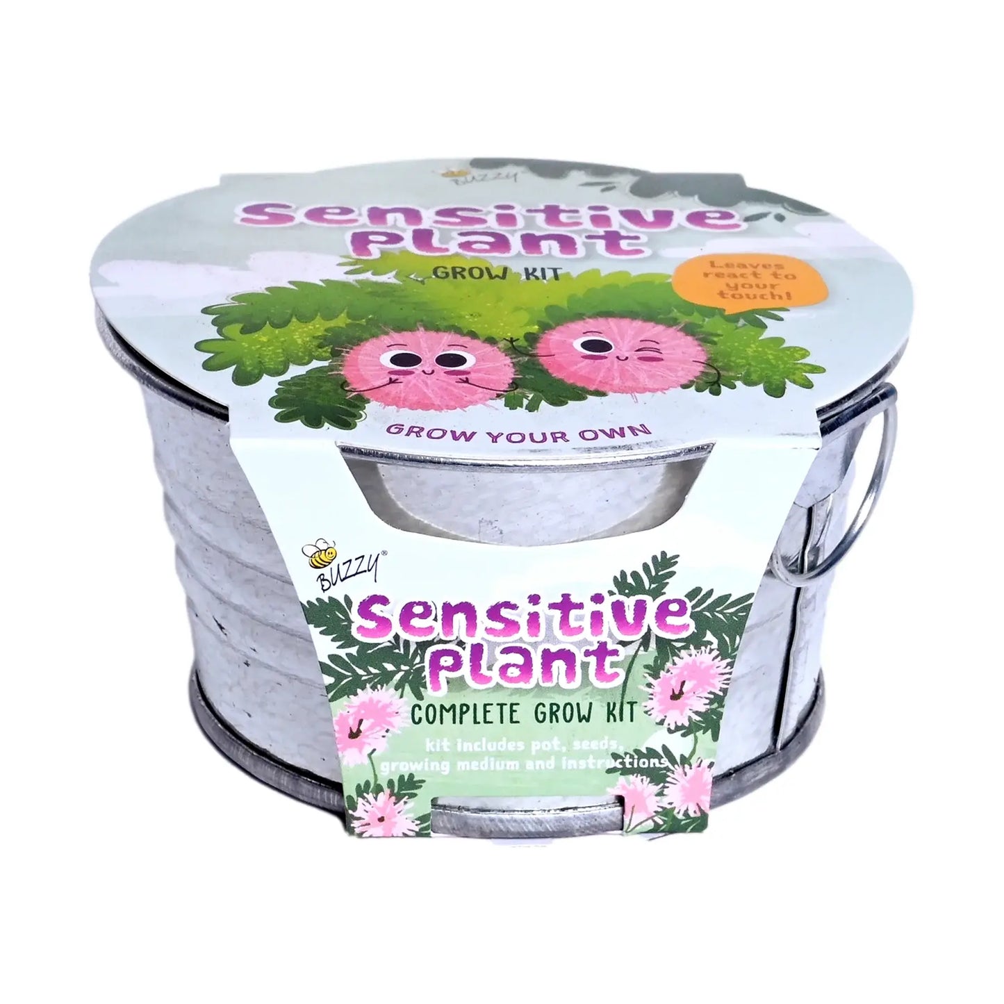Kids Mini Basin Sensitive Plant Grow Kit | Indoor Kit |